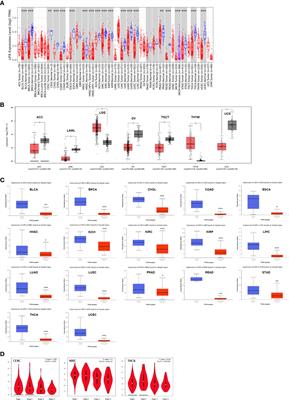 Pan-cancer analysis identifies LIFR as a prognostic and immunological biomarker for uterine corpus endometrial carcinoma